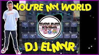 YOU'RE MY WORLD DJ ELMYR