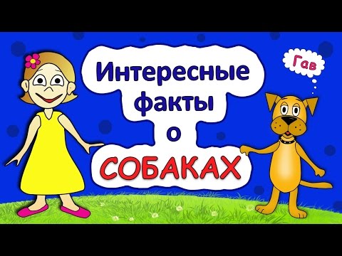 Интересные факты о собаках 🐶 Тесты бабушки Шошо