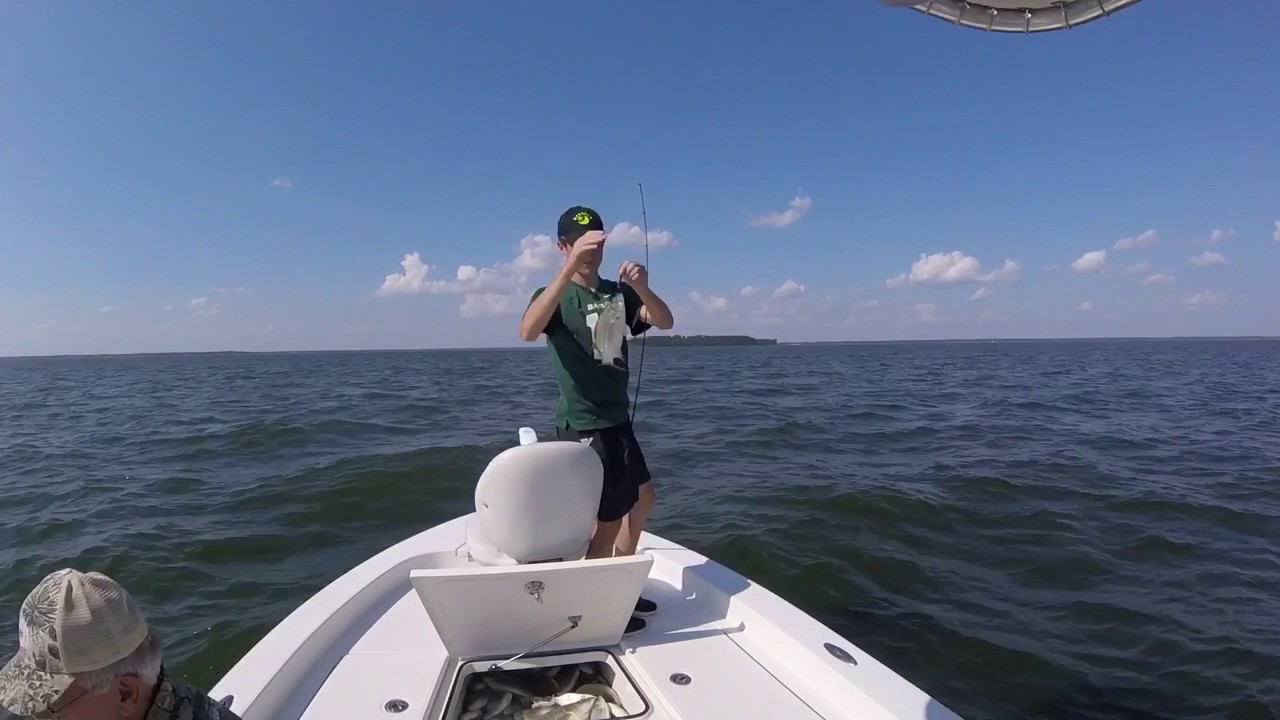 Lake Livingston fishing white bass hybrid smackdown YouTube