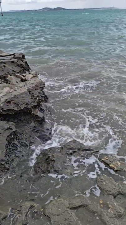 Mission Bay  #shortvideo #beachvibes