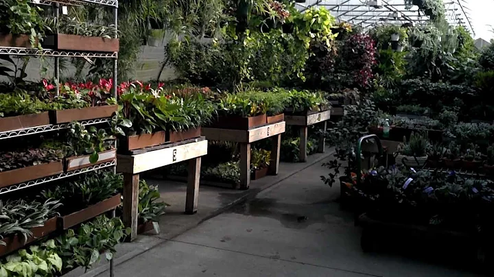 Greenhouse Tour 10/18/12