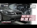 Whippled 2003 DSG Cobra Mustang Makes MASSIVE POWER