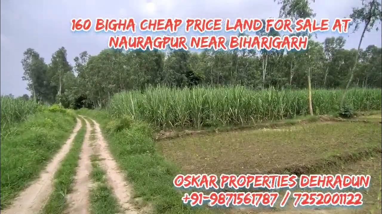 160 Bigha Cheap Price Land For Sale Just 4 Lakh Per Bigha Near Dehradun 160-bigha-cheap-price-land-for-sale-just-4-lakh-per-bigha-near-dehradun