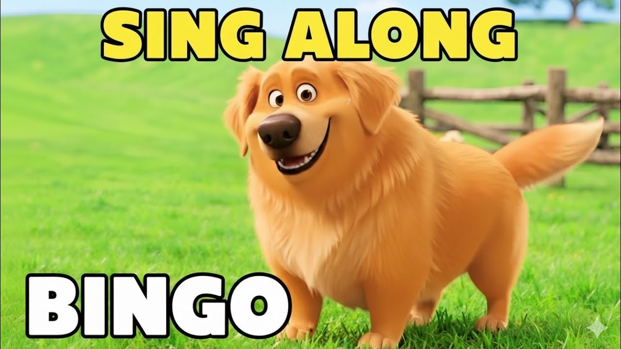 BINGO 🐶 Его звали Бинго
