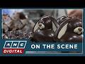 LOOK: Intricately-designed chocolate bunnies ready to hop off for Easter in Germany | ANC