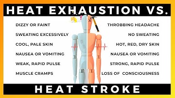 HEAT EXHAUSTION VS. HEAT STROKE TOOLBOX TALK | By Ally Safety