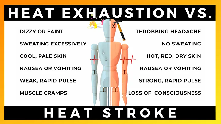 HEAT EXHAUSTION VS. HEAT STROKE TOOLBOX TALK | By Ally Safety - DayDayNews