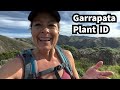 340 - Take a plant identification nature hike with me at Garrapata State Park.