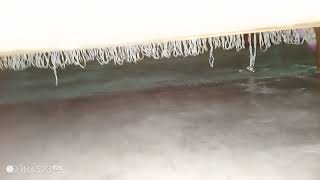 XXL XXL XXL XXL FREESTYLE 2024 |XXL 2025 | Xxwd5000xa | XXL XXL XXL XXL FREESTYLE