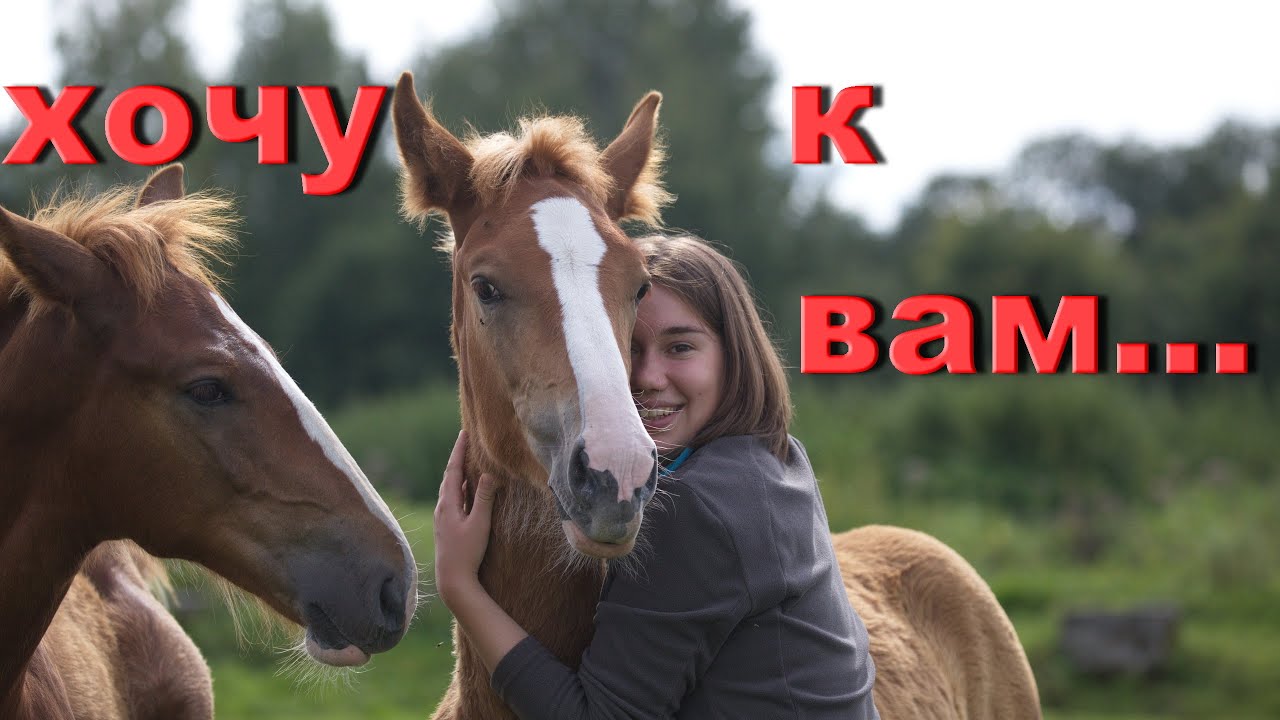 Хочу на волгу