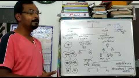 BIOLOGY II Sri Suvendu Paul II CELL DIVISION II WB Syllabus II NCHS II Class X