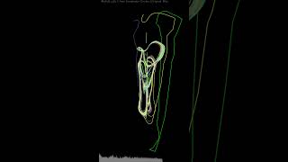 Famous #creativecoding #processing #techno #foryou #electronicmusic #math Net Worth