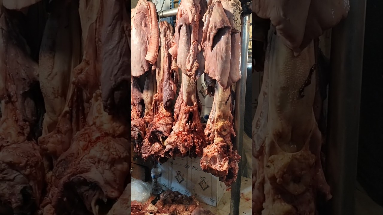 Original best Cow Shop in Bangladesh 