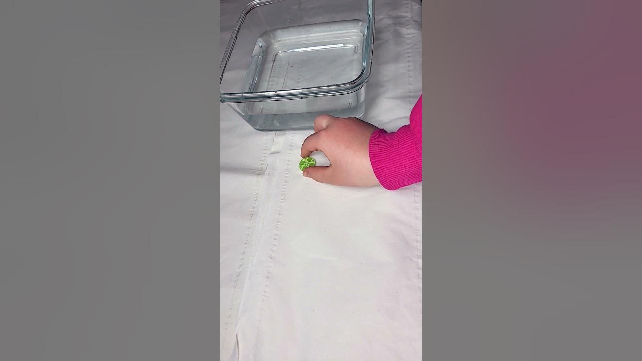 Does a button sink or float 🤔 💚 YouTube