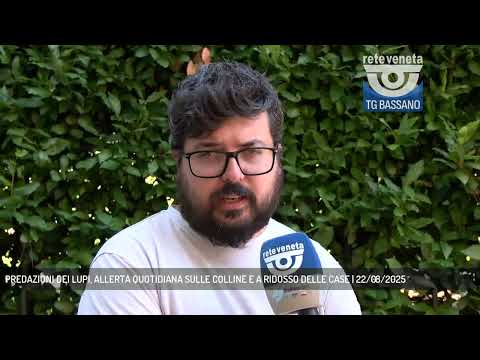 PREDAZIONI DEI LUPI, ALLERTA QUOTIDIANA SULLE COLLINE E A RIDOSSO DELLE CASE | 22/08/2025