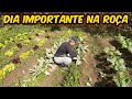 DIA IMPORTANTE NA ROÇA/HORTA/ÁRVORE CAÍDA NA TRILHA/Bora pra roça?