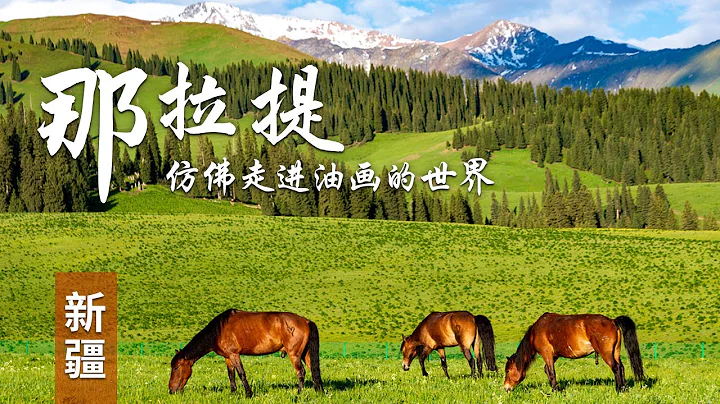 【好治癒！夏日草原壁紙上新啦】初夏時節，新疆伊犁那拉提空中草原，綠草蔥蘢，山花爛漫，彷彿走進油畫的世界 | 中華地圖 - 天天要聞