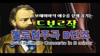 드보르작 첼로협주곡 B단조 Op. 104 | Dvořák Concerto n. 2 in B minor op. 104 |