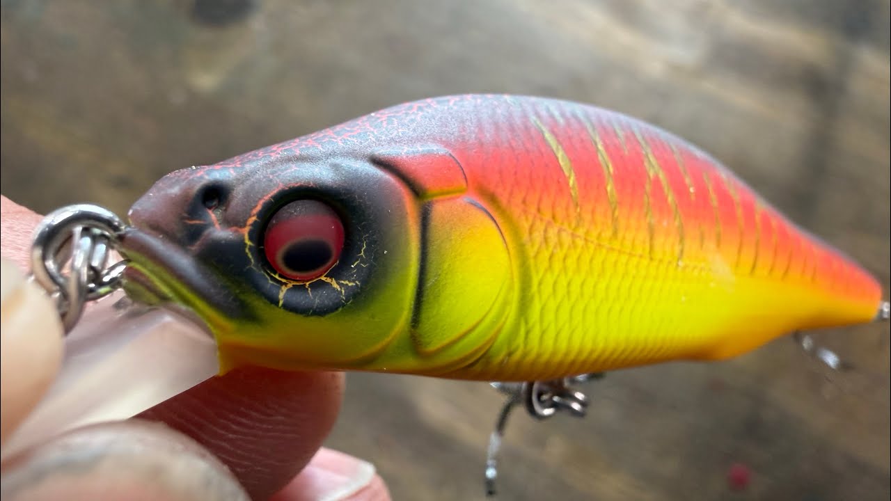 Some Anglers Are Going To Be MAD At Me For Giving Away The AKA Tora….