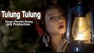 TULUNG TULUNG || Parmita Reang || new MP3 song