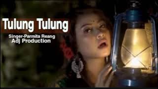 Download lagu TULUNG TULUNG || Parmita Reang || new MP3 song
