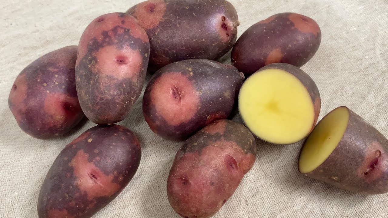 じゃがいも グラウンドペチカ デストロイヤー 野菜の食べ方 調理方法 By食育マルシェおうち便 Youtube