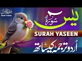 Surah Yasin with Urdu Translation | Beautiful &amp; Heart Touching  Recitation | Qari Mansoor Ghaznavi