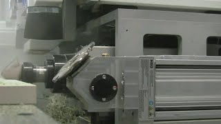 Stema TABIT P System