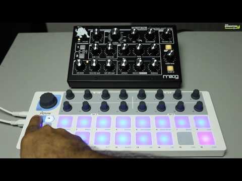 Arturia BeatStep & Moog Minitaur