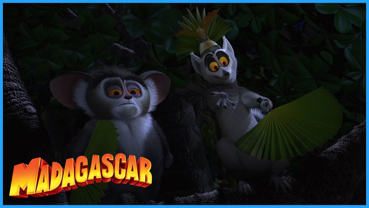 DreamWorks Madagascar | Tender Loving Thing | Madagascar Movie Clip