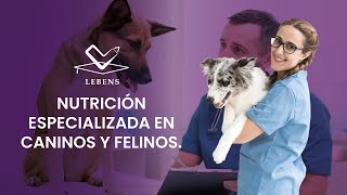 NUTRICIÓN ESPECIALIZADA EN CANINOS Y FELINOS.