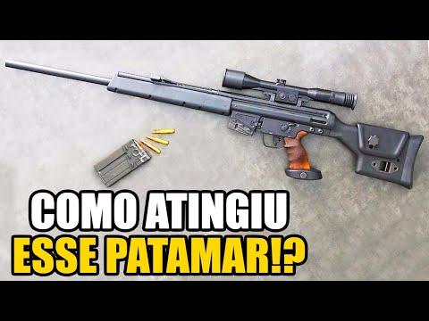 Vídeo: Os melhores rifles de precisão do mundo. Top 10: foto, descrição, características