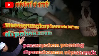 MISTERI POHON ASEM DAN MUSTIKA BATU ASEM