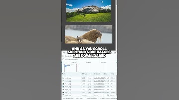 Built In Lazy Loading | #coding #webdev #css