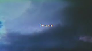 LIL GRIPPIE - Senzory [OFFICIAL VISUAL]