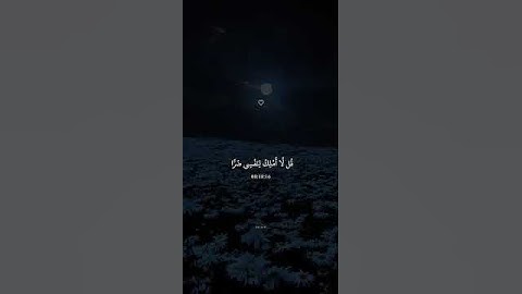 تلاوة خاشعة | سورة يونس الآية 49 بصوت القارئ عبد الرحمن مسعد 📖✨
