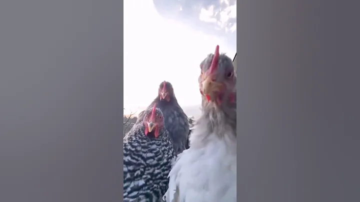 Tshwala Bami #amapiano #yanos #tshwalabami #YanosMakeHerDance