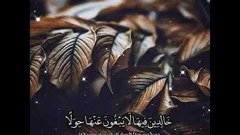 سورة يس بصوت هزاع البلوشي - صوت هادئ ومريح للنفس