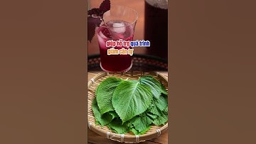 MỖI NGÀY 1 CỐC NƯỚC LÁ TÍA TÔ - ĐIỀU GÌ SẼ XẢY RA?|Dr Hiệp