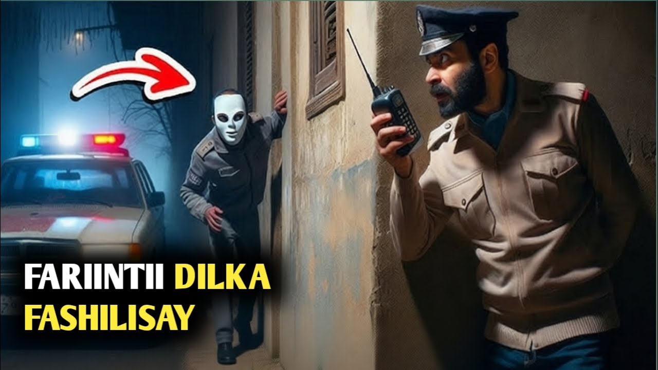 FARIINTII DILKA FASHILISAY 