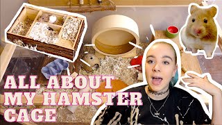 🐹HOW I SET UP MY HAMSTER CAGE / UPDATES & MORE INFO🐹