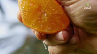 The Juice - DCD and Disruptor Technology Processes Citrus (Oranges Example) Resimi