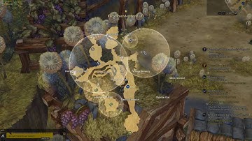 Tree of Savior - Tenants Farm (Collection Chest, Monster, Statue of Goddess)
