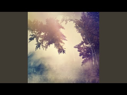 Purl — Violante (Lost in a Dream)