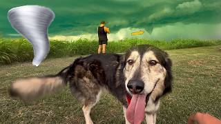 Tornado Chasing With My Dog | FULL CHASE
