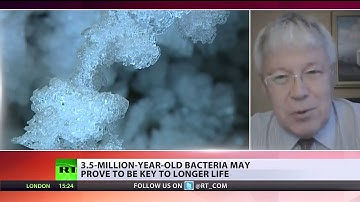 Russian scientist injects himself with 3,5 mn yr old 