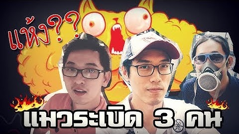 ริวิวแห้งๆ Exploding Kitten ในวันที่เพื่อนเท กับเพื่อนเกย์ 3 คน เฮ้ย ไม่ใช่