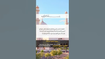 سورة البقرة آية 228  Sourah al Bakarah Ayat 228 || #quran