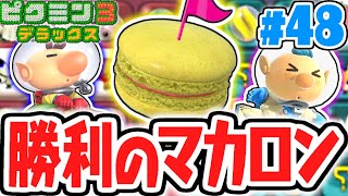 ビンゴバトルの必勝法!?カギは勝利のマカロン!!デラックスな最速実況Part48【ピクミン3 デラックス】