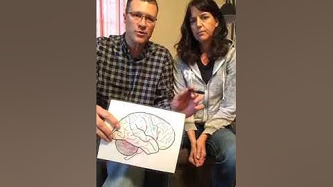 Video 1 - Red Brain Green Brain